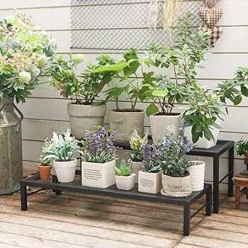 2層デザイン エレガントフラワースタンド 観葉植物花瓶 Amazon.co.jp: ルームアンドホーム フラワースタンド 観葉植物